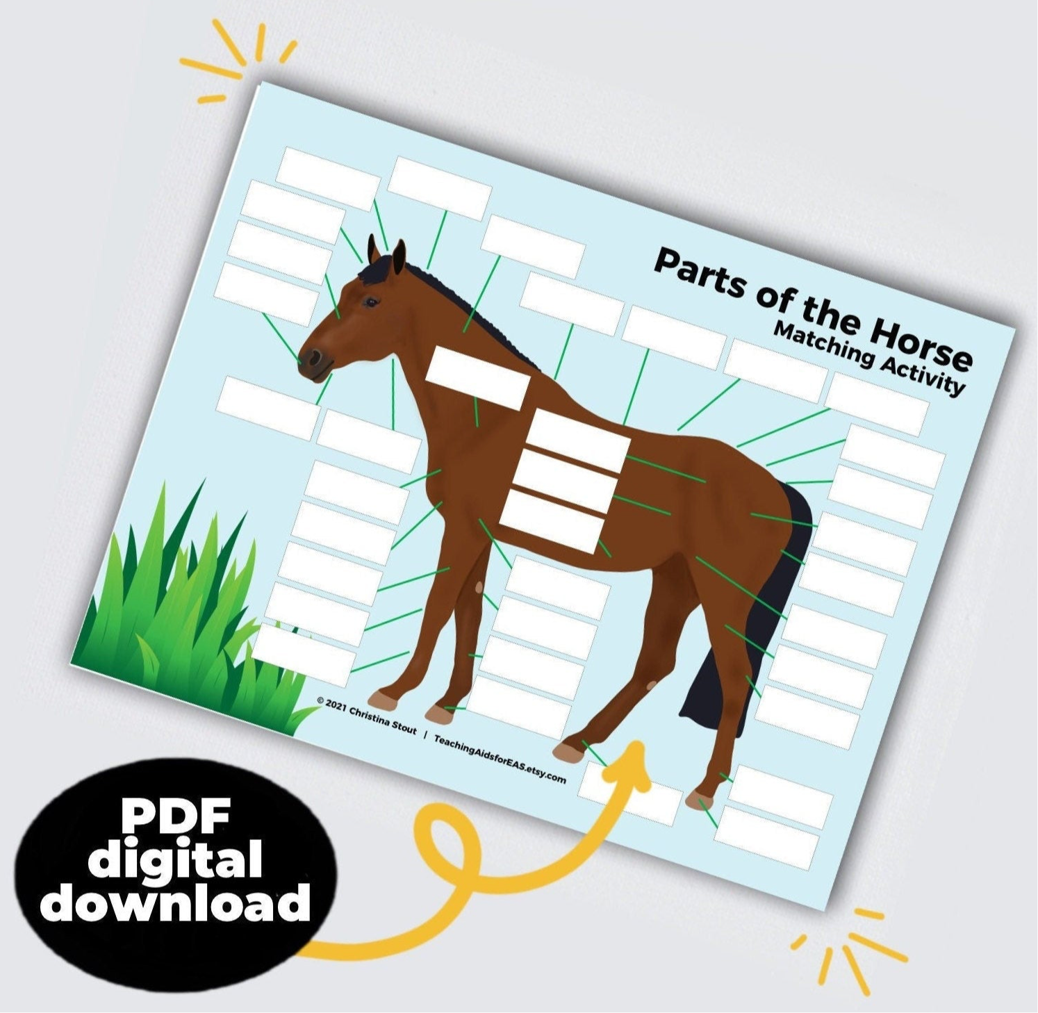 Printable Parts Of A Horse