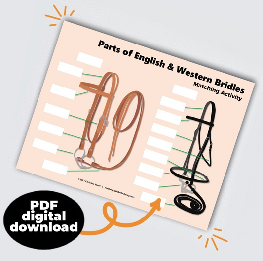 parts of bridles - PDF download - Teaching Aids for EAS