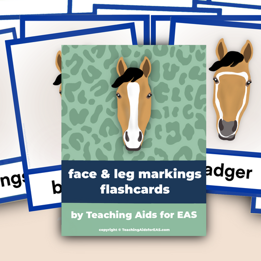 face & leg markings flashcards - PDF download - Teaching Aids for EAS