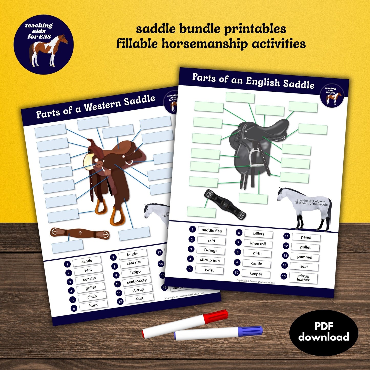 english & western saddle bundle - PDF download - Teaching Aids for EAS