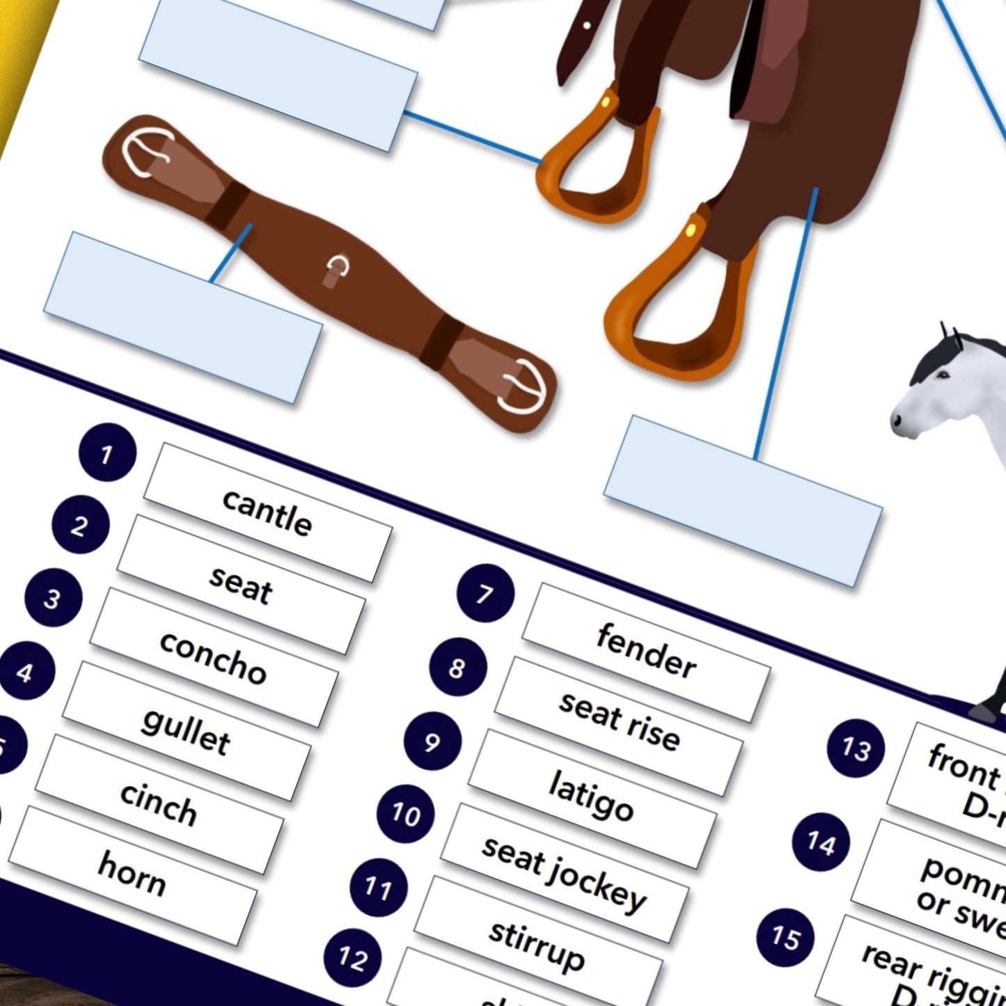 english & western saddle bundle - PDF download - Teaching Aids for EAS