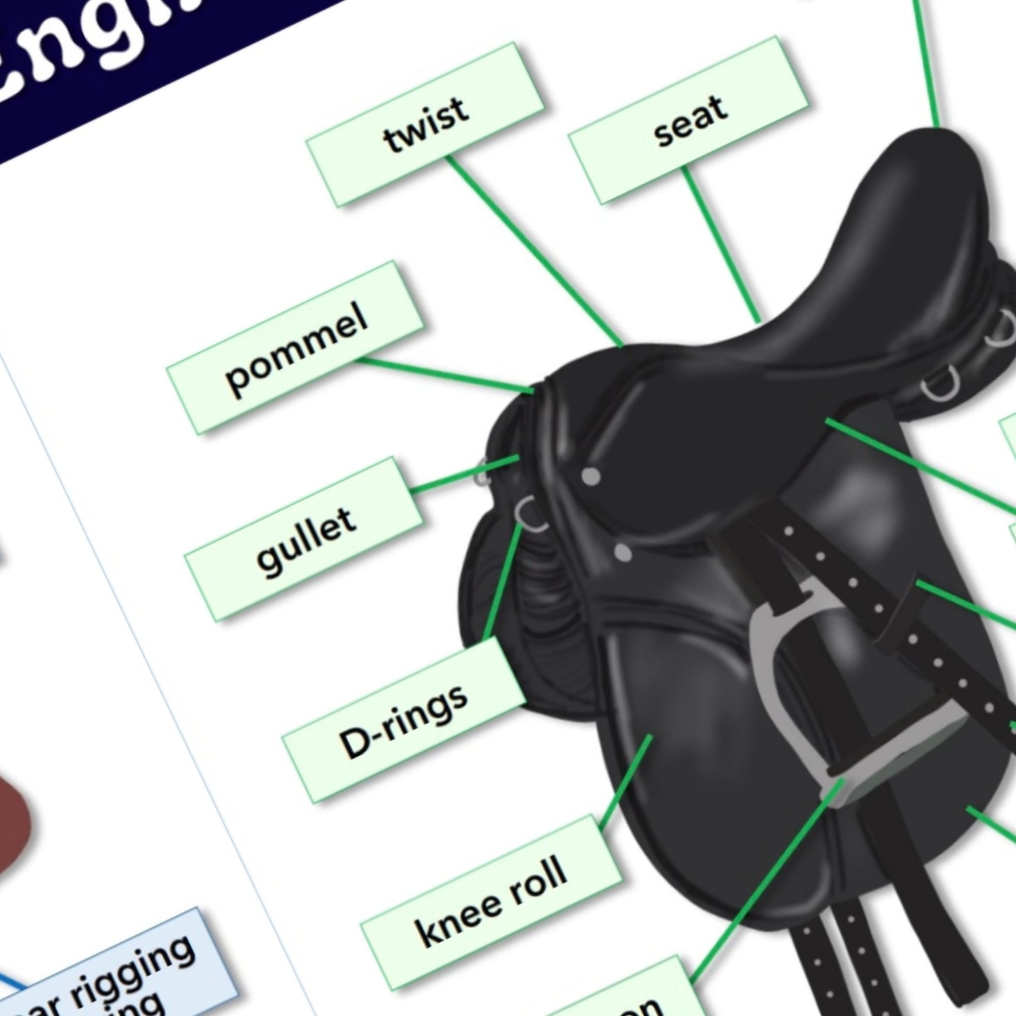 english & western saddle bundle - PDF download - Teaching Aids for EAS
