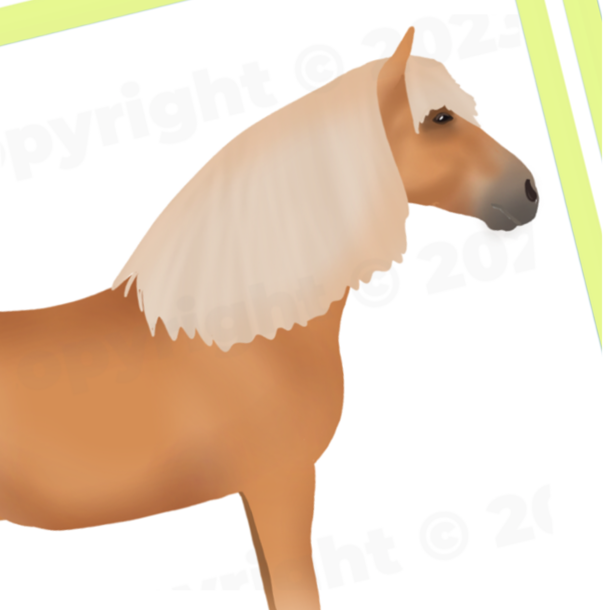 horse breed flashcards - PDF download - Teaching Aids for EAS