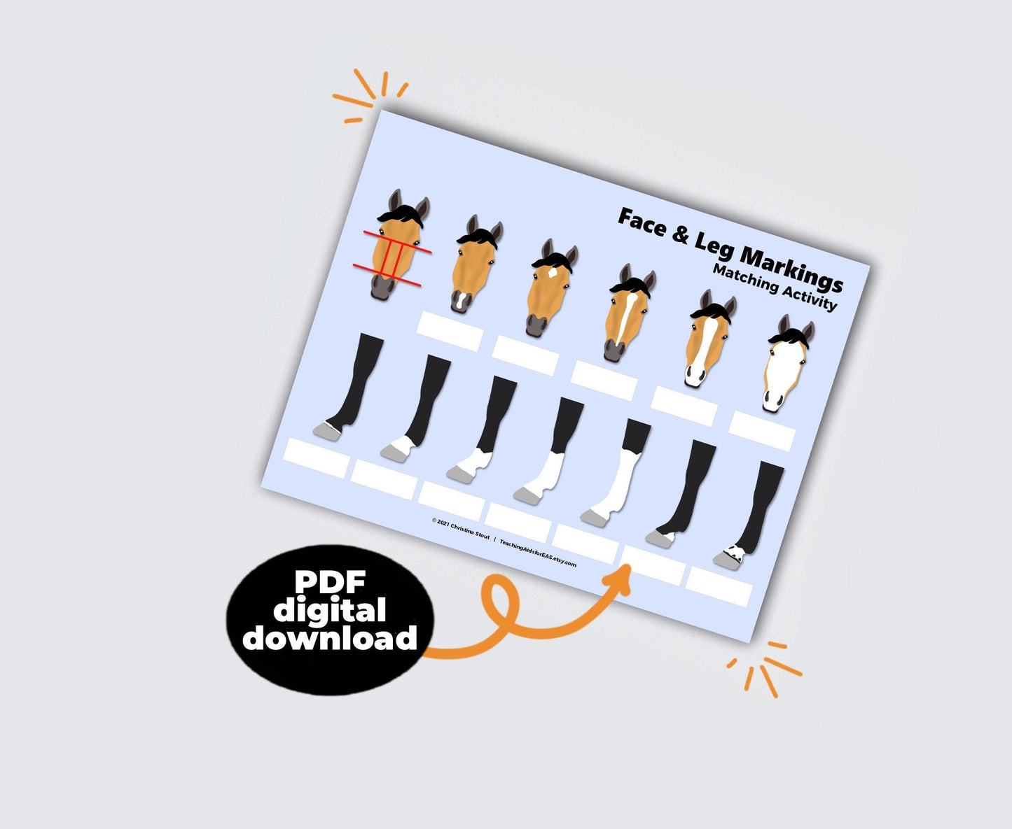 face & leg markings - PDF download - Teaching Aids for EAS