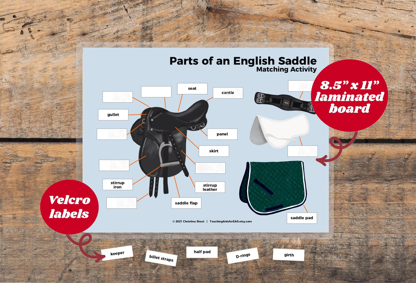 velcro board, parts of saddle english - Teaching Aids for EAS