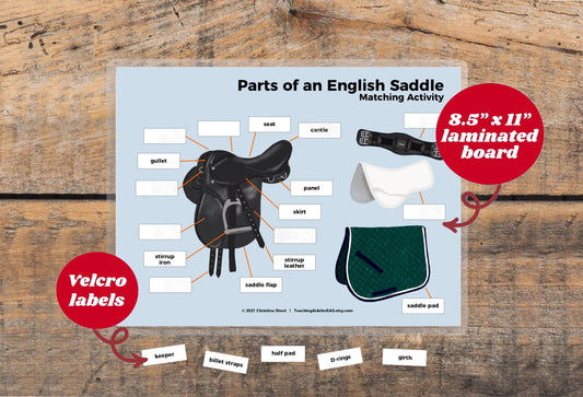 velcro board, parts of saddle english - Teaching Aids for EAS