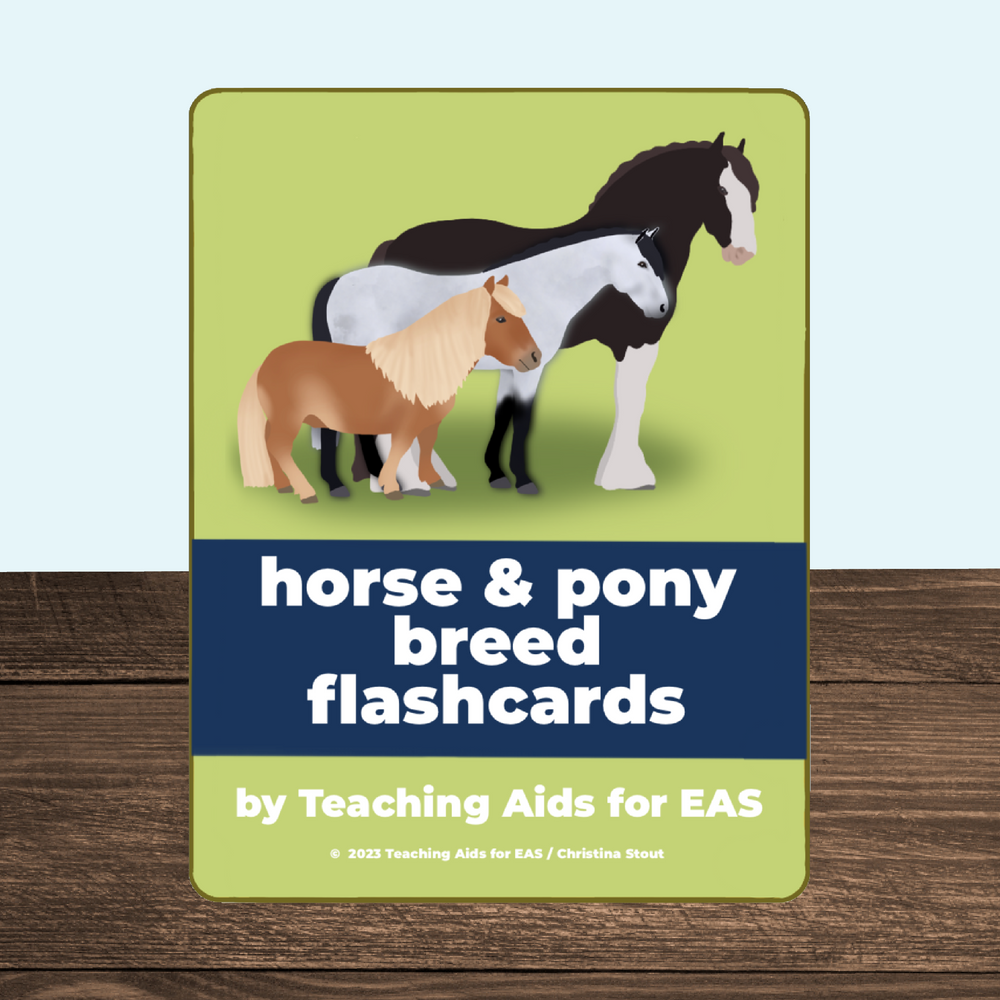 Teaching Aids for EAS: Visual Aids for Adaptive Riding Instructors
