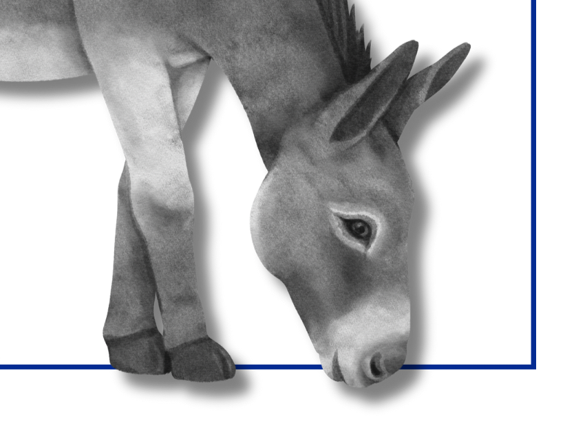 animal arena letters II - PDF download - Teaching Aids for EAS