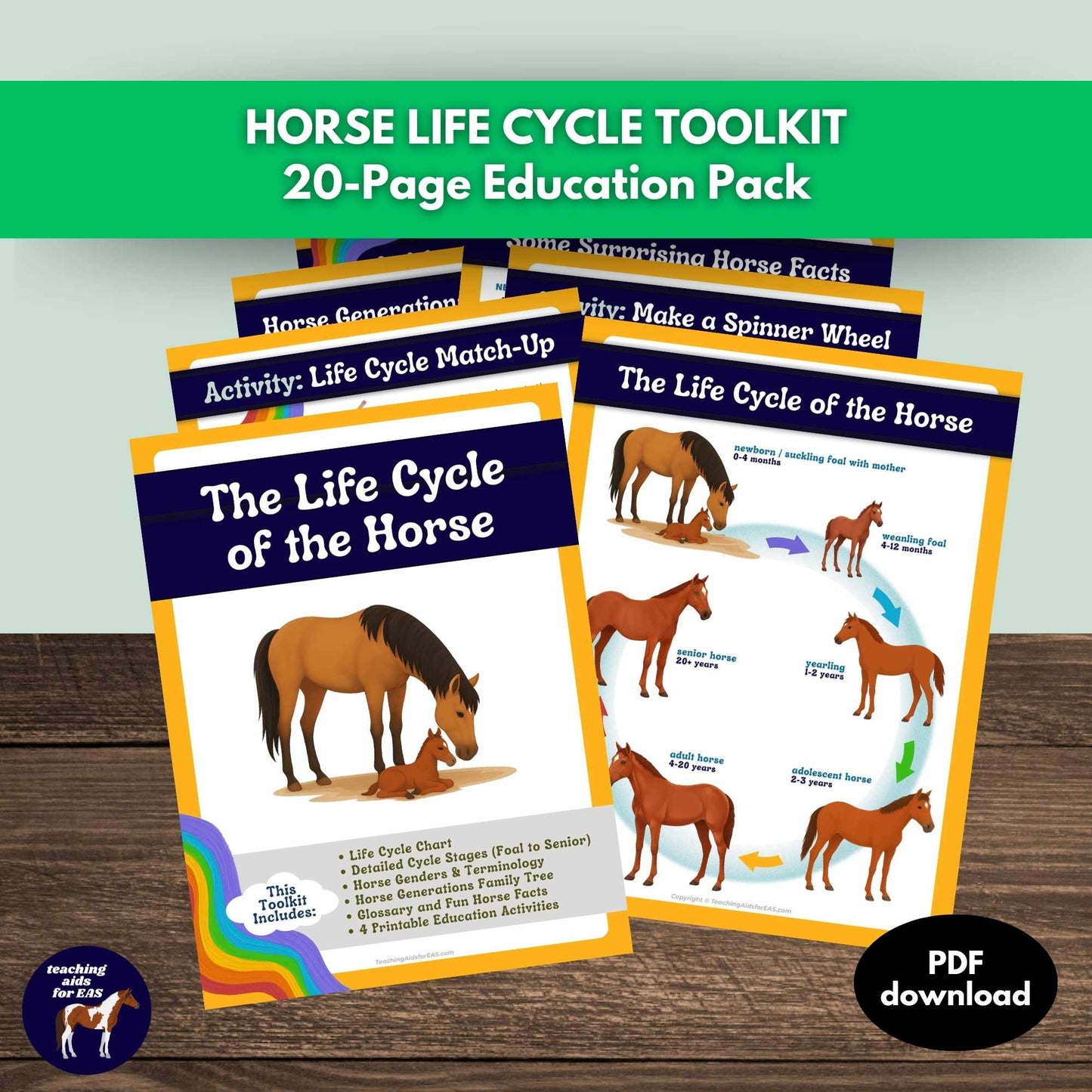 horse life cycles toolkit - PDF download