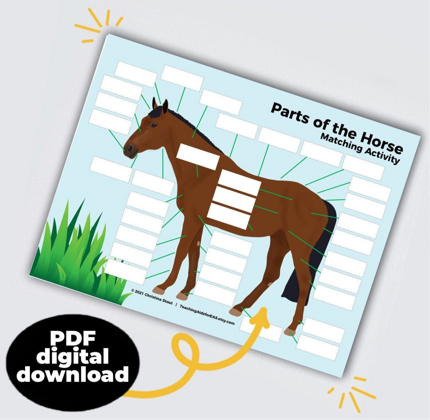 parts of the horse - PDF download