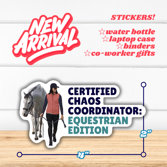 sticker, certified chaos coordinator