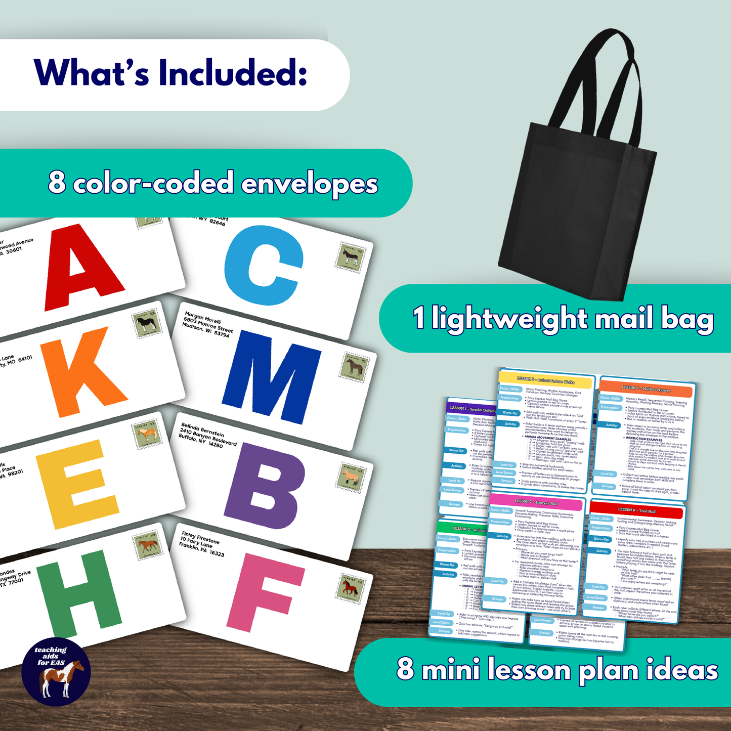 pony express mail bag game *NEW DESIGN*