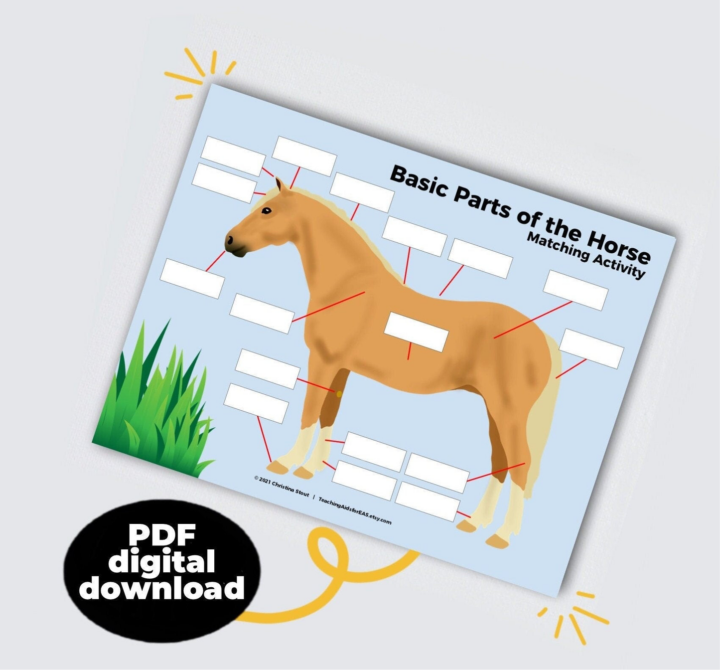 basic parts of the horse - PDF download