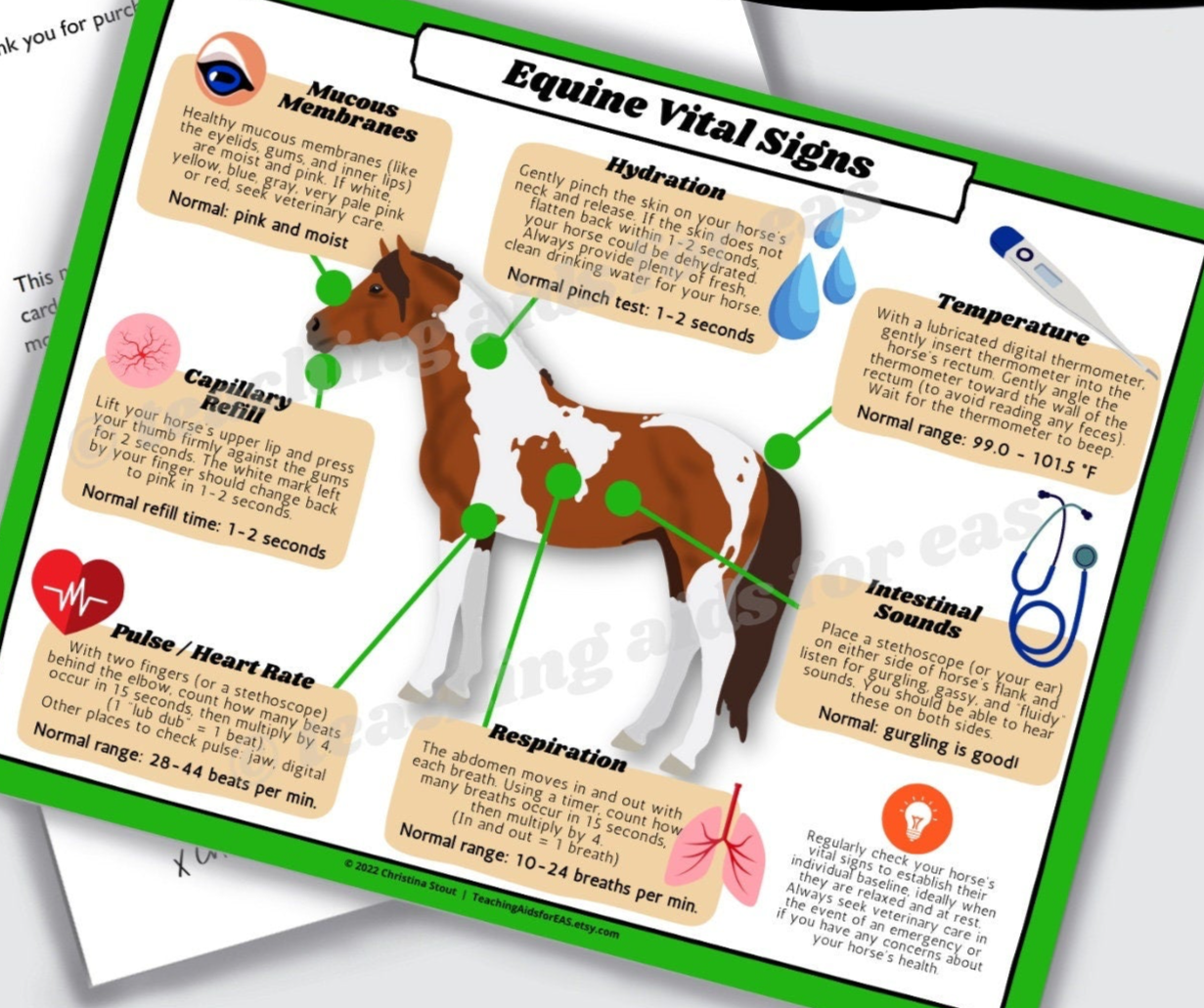 equine vital signs sheet (fahrenheit) PDF download Teaching Aids