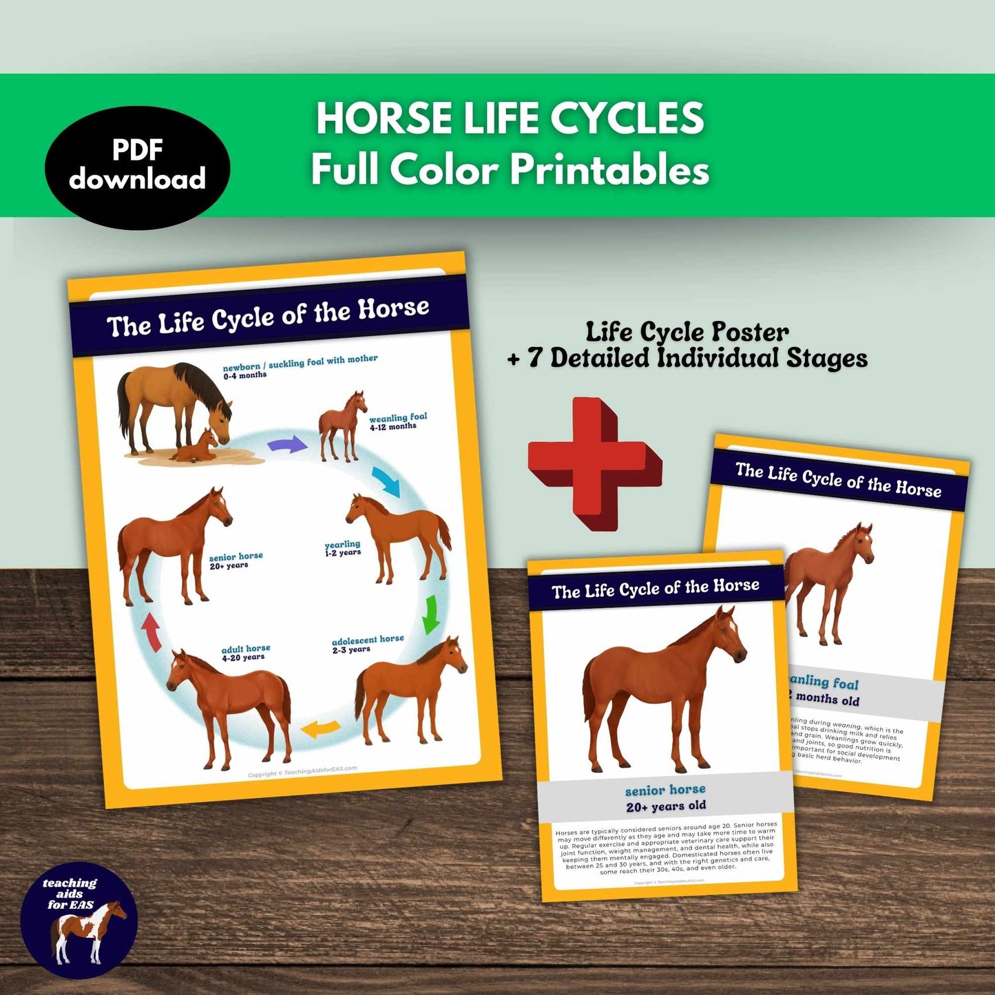 horse life cycles toolkit - PDF download