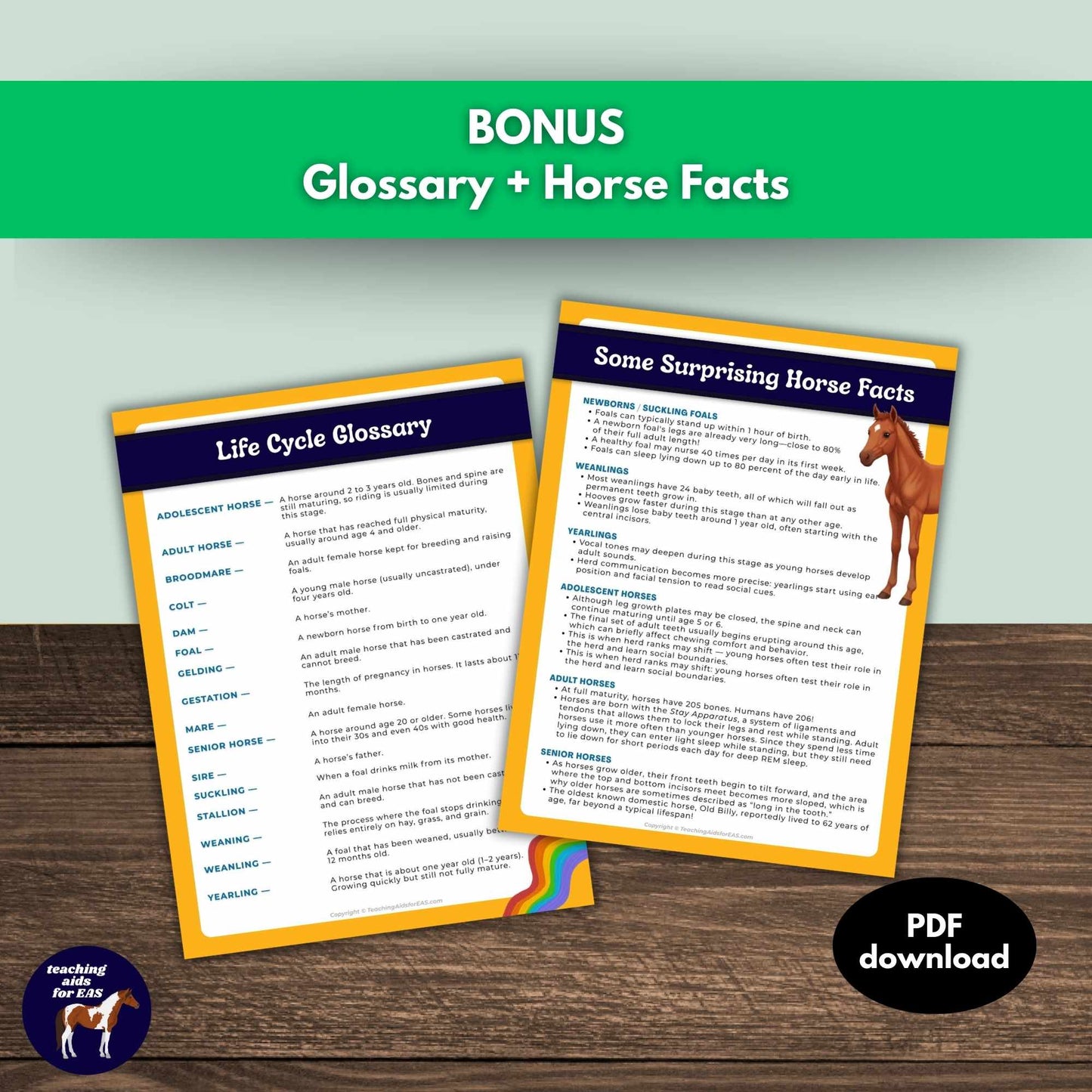 horse life cycles toolkit - PDF download