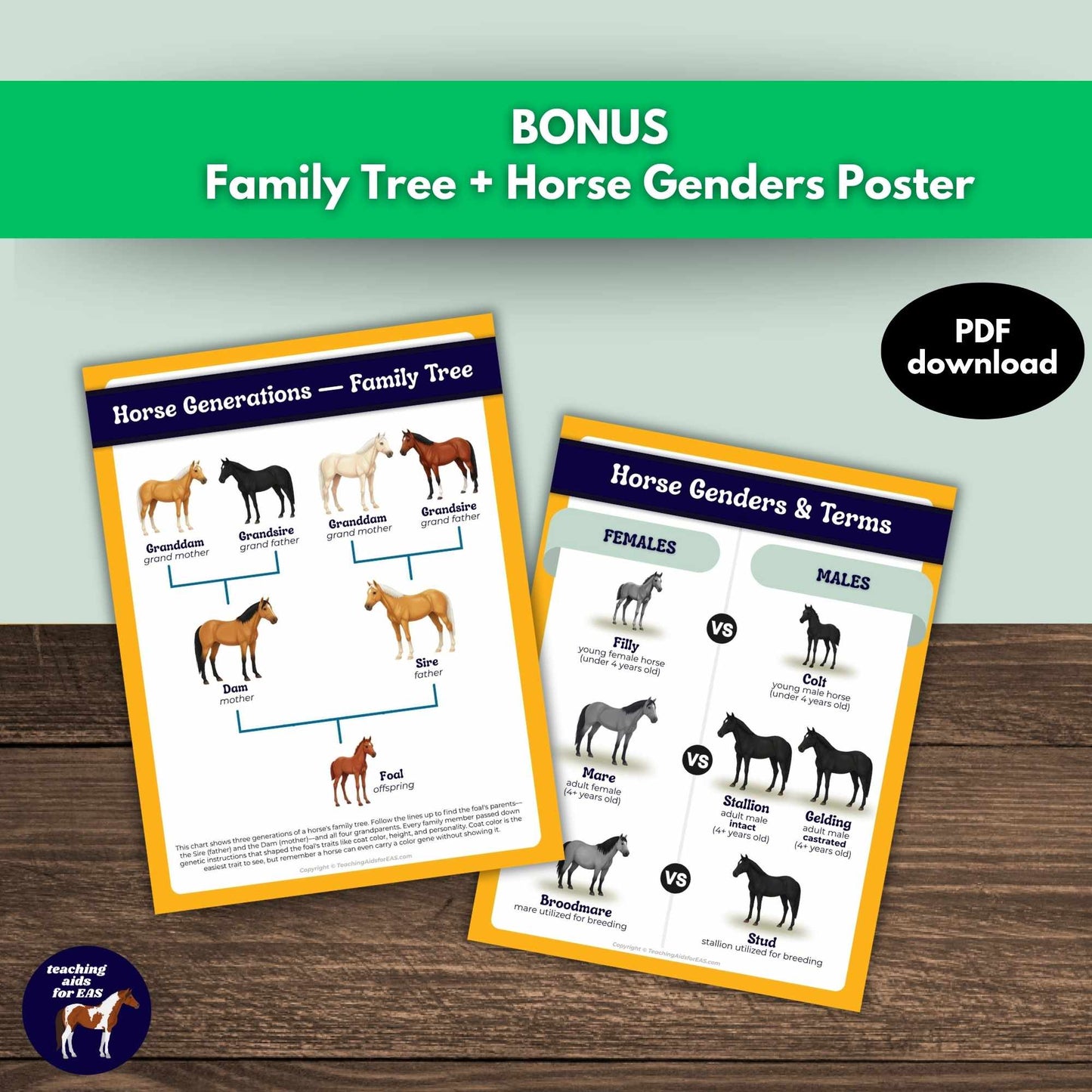 horse life cycles toolkit - PDF download