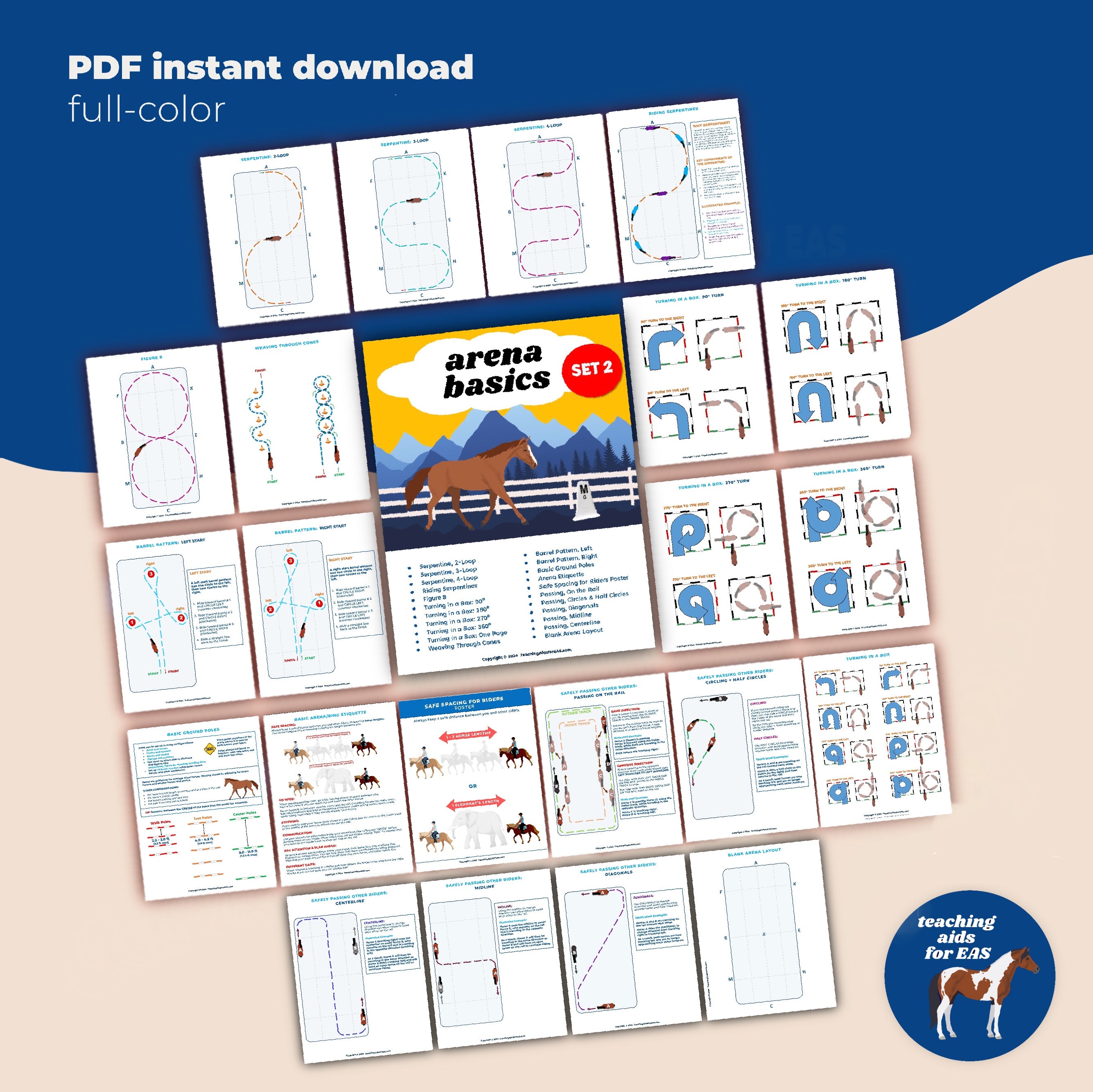 Teaching Aids for EAS: Visual Aids for Adaptive Riding Instructors