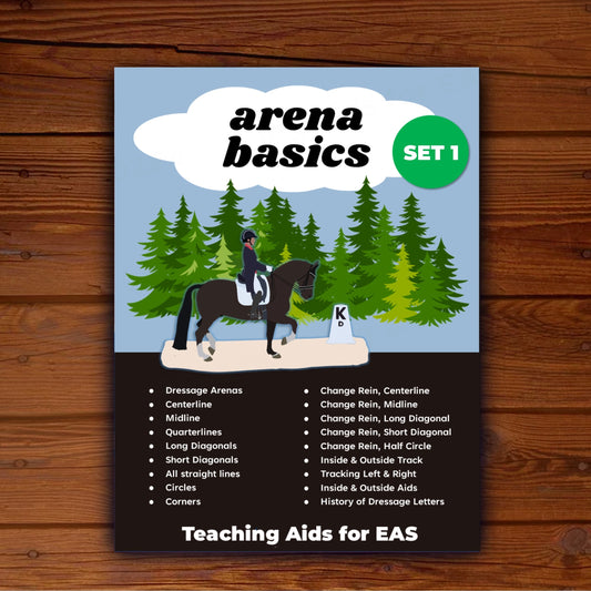 arena basics, set 1 - PDF download - Teaching Aids for EAS