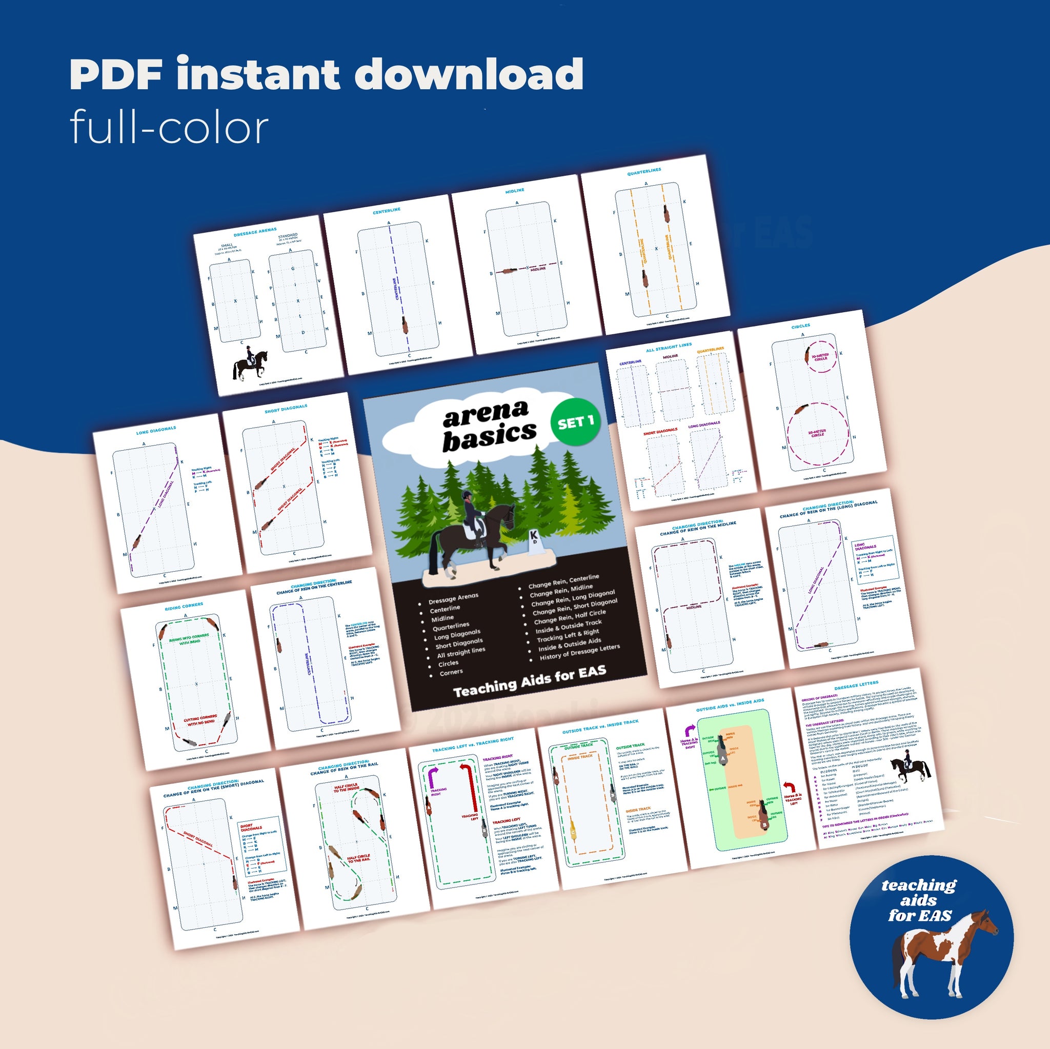 Arena Lesson Patterns Arena Basics Flashcards - Therapeutic/Adaptive Riding – Teaching Aids ...