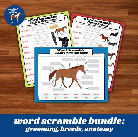 ScrambleBundle - Teaching Aids for EAS