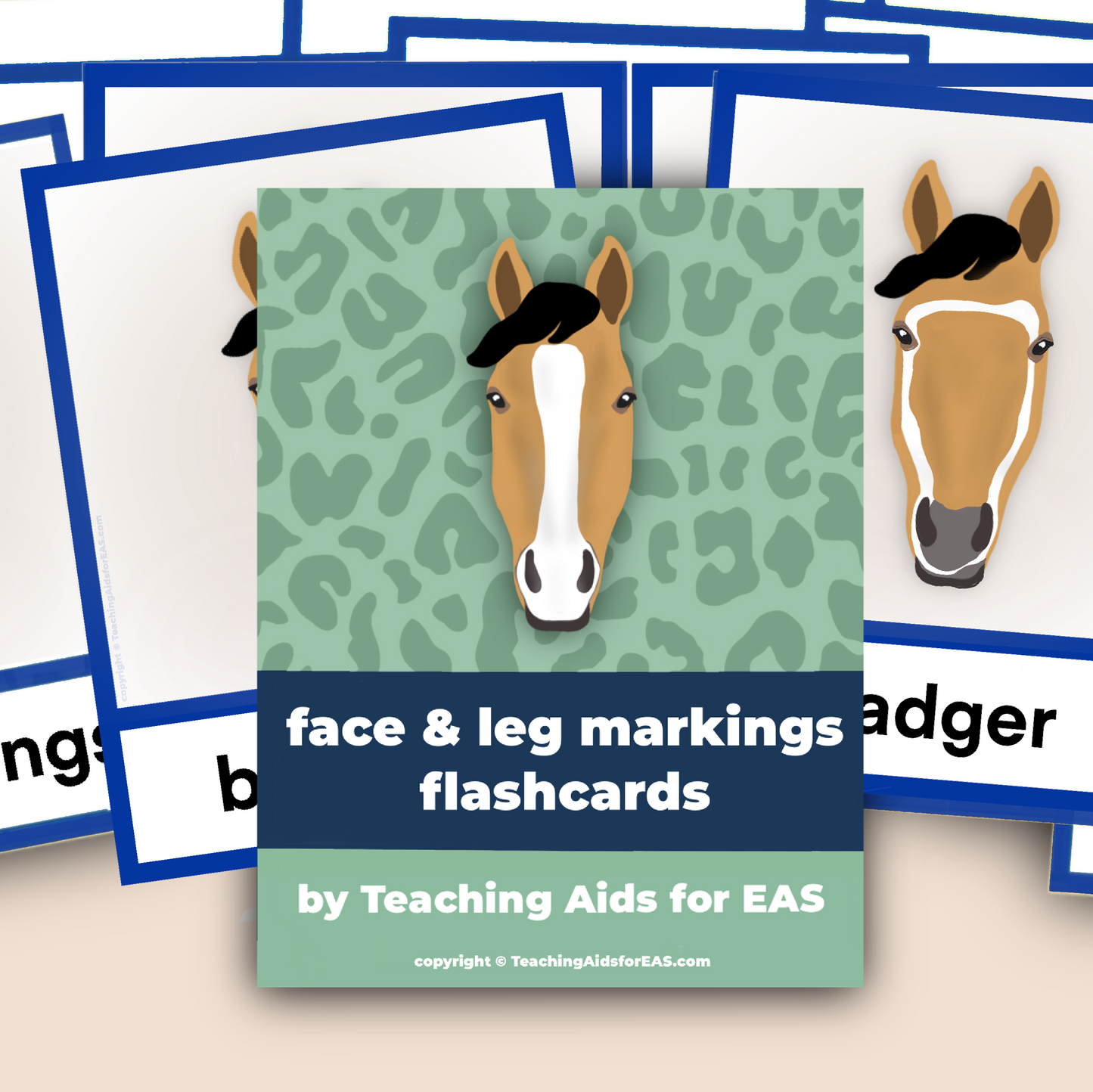 face & leg markings flashcards - PDF download