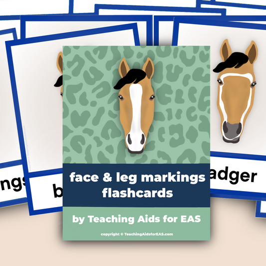 face & leg markings flashcards - PDF download