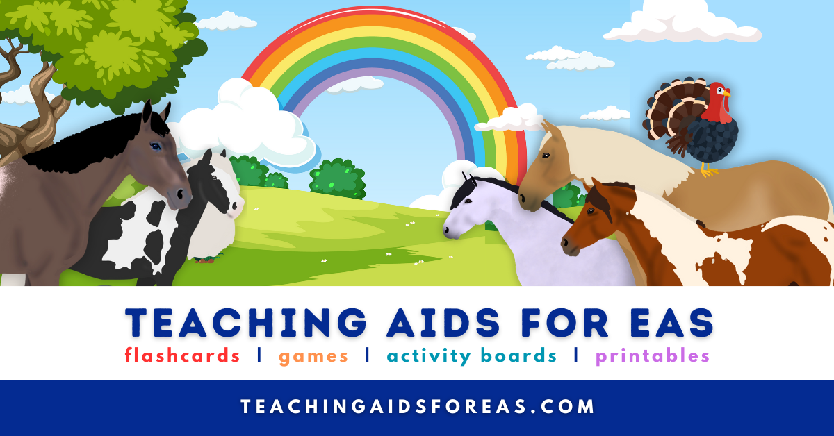 Teaching Aids for EAS: Visual Aids for Adaptive Riding Instructors