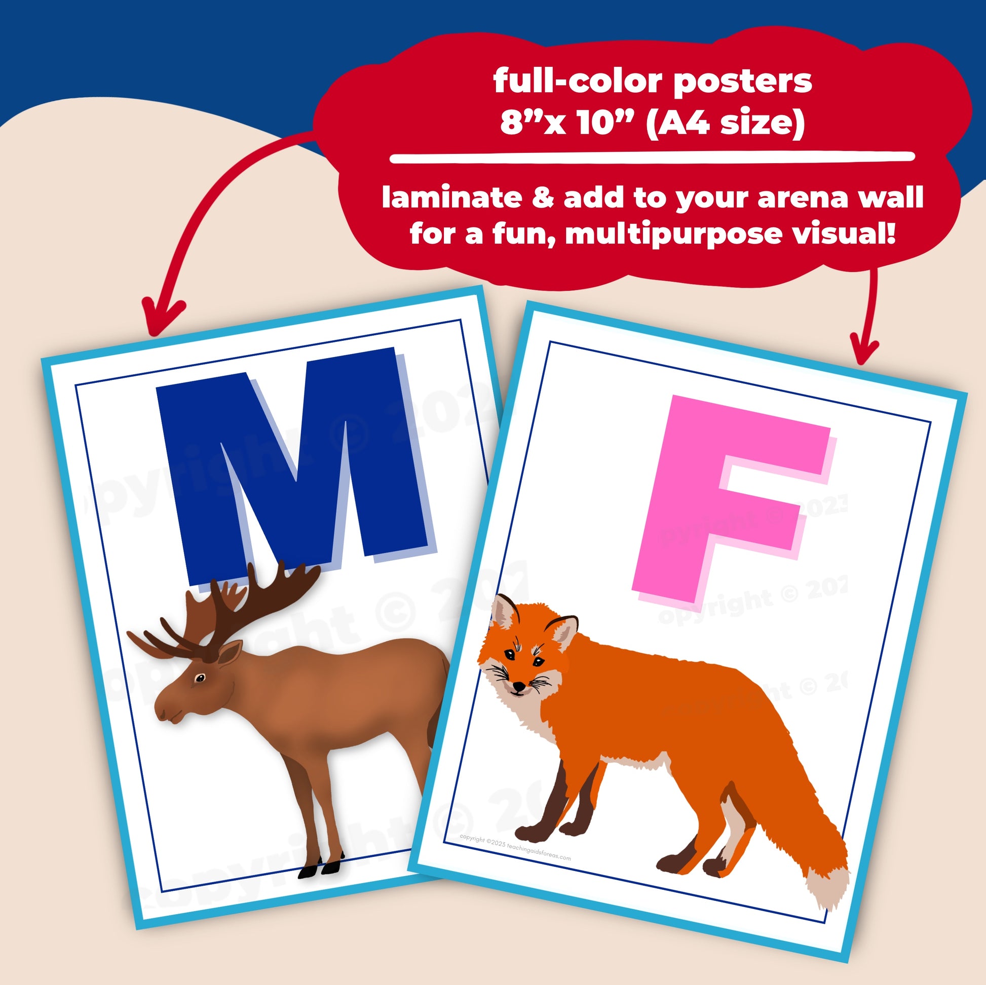 animal arena letters - PDF download - Teaching Aids for EAS