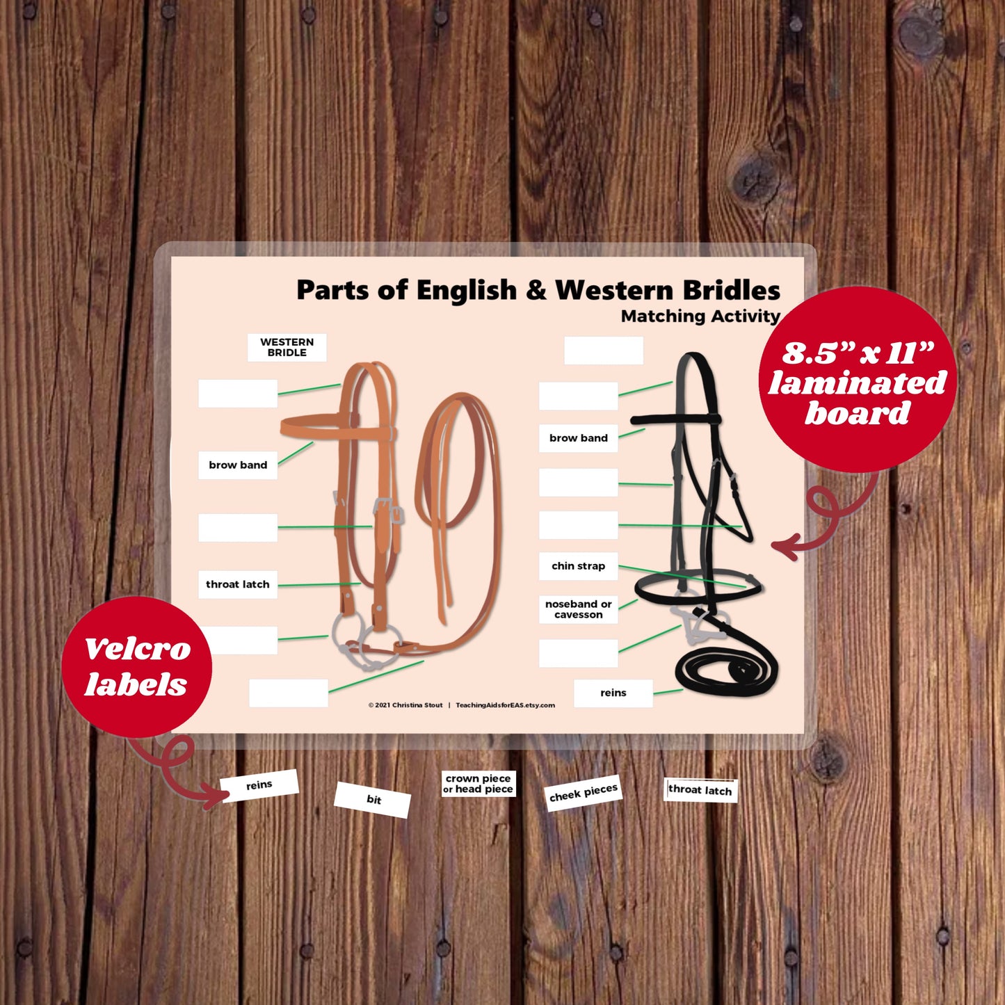 velcro board, parts of bridles - Teaching Aids for EAS