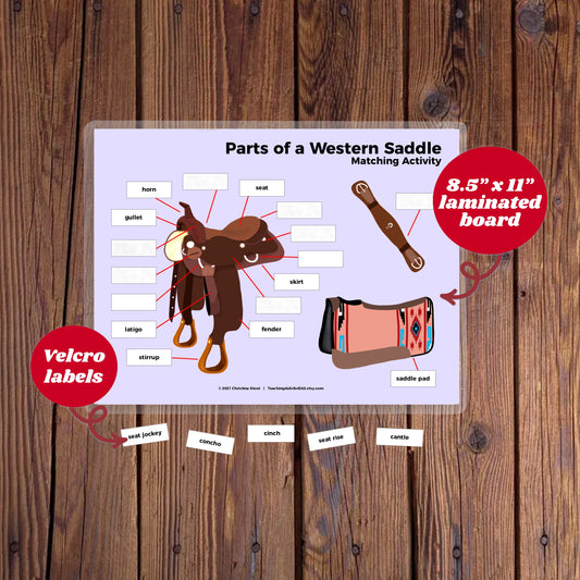 velcro board, parts of saddle western - Teaching Aids for EAS