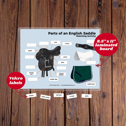 velcro board, parts of saddle english - Teaching Aids for EAS