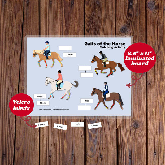 velcro board, gaits of the horse - Teaching Aids for EAS