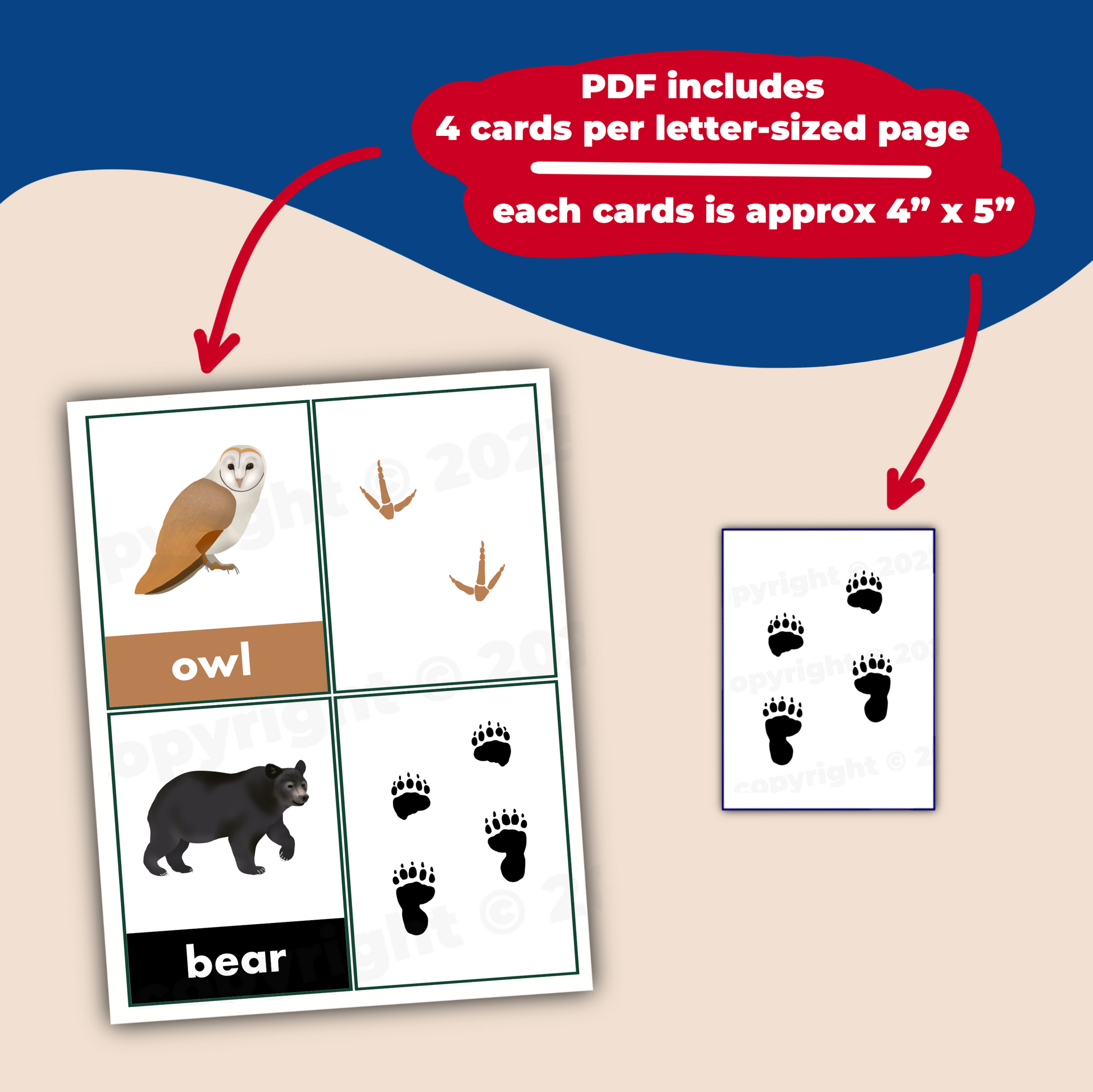 animal tracks matching game - PDF download - Teaching Aids for EAS