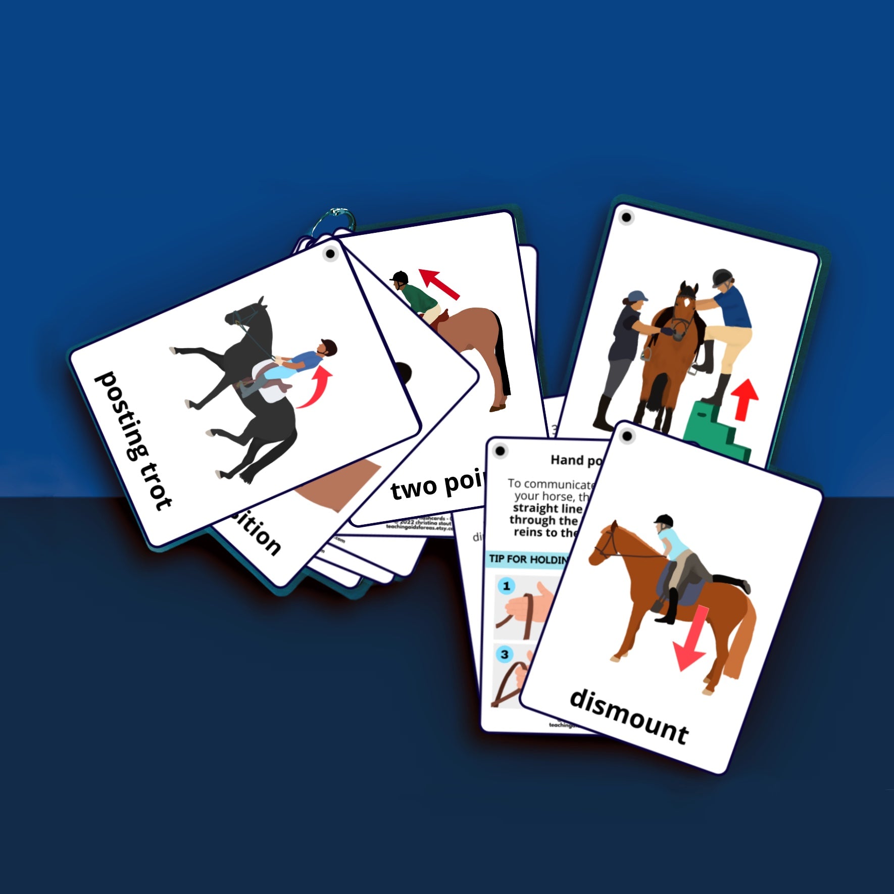 Correct Riding Aids Horseback Riding Skills Flashcards for Adaptive Therapeutic Riding ...