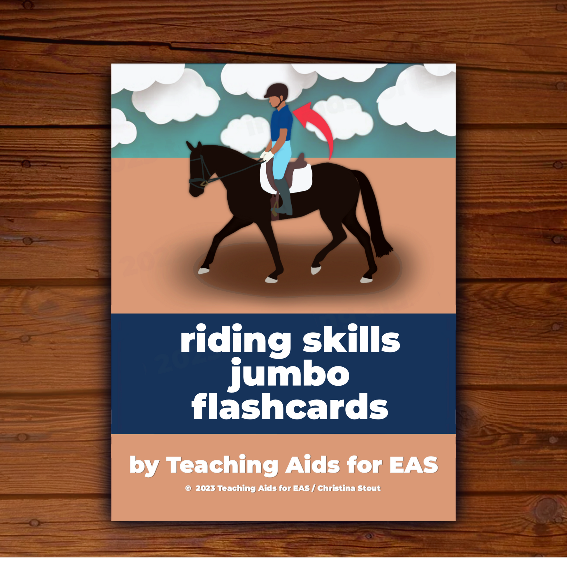 riding skills flashcards - PDF download - Teaching Aids for EAS