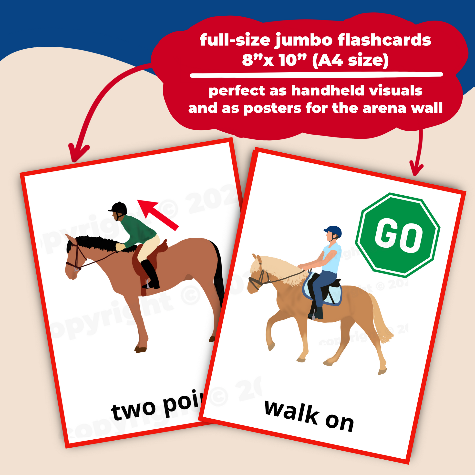 riding skills flashcards - PDF download - Teaching Aids for EAS