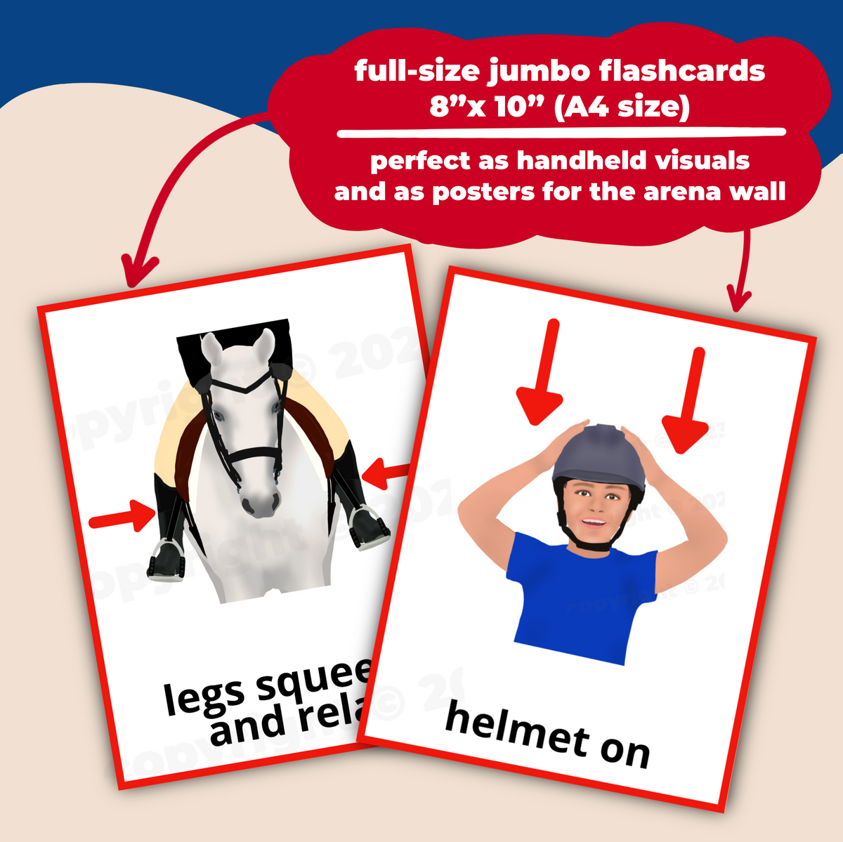 horseback riding skills flashcards - Therapeutic/Adaptive Riding ...