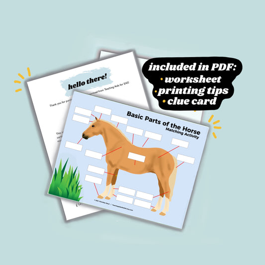 basic parts of the horse - PDF download - Teaching Aids for EAS