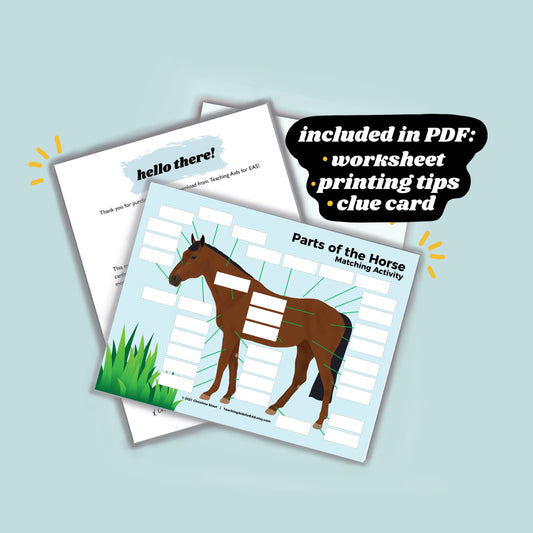 parts of the horse - PDF download - Teaching Aids for EAS