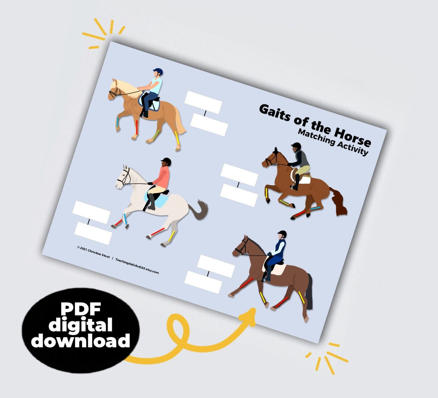 gaits of the horse - PDF download - Teaching Aids for EAS