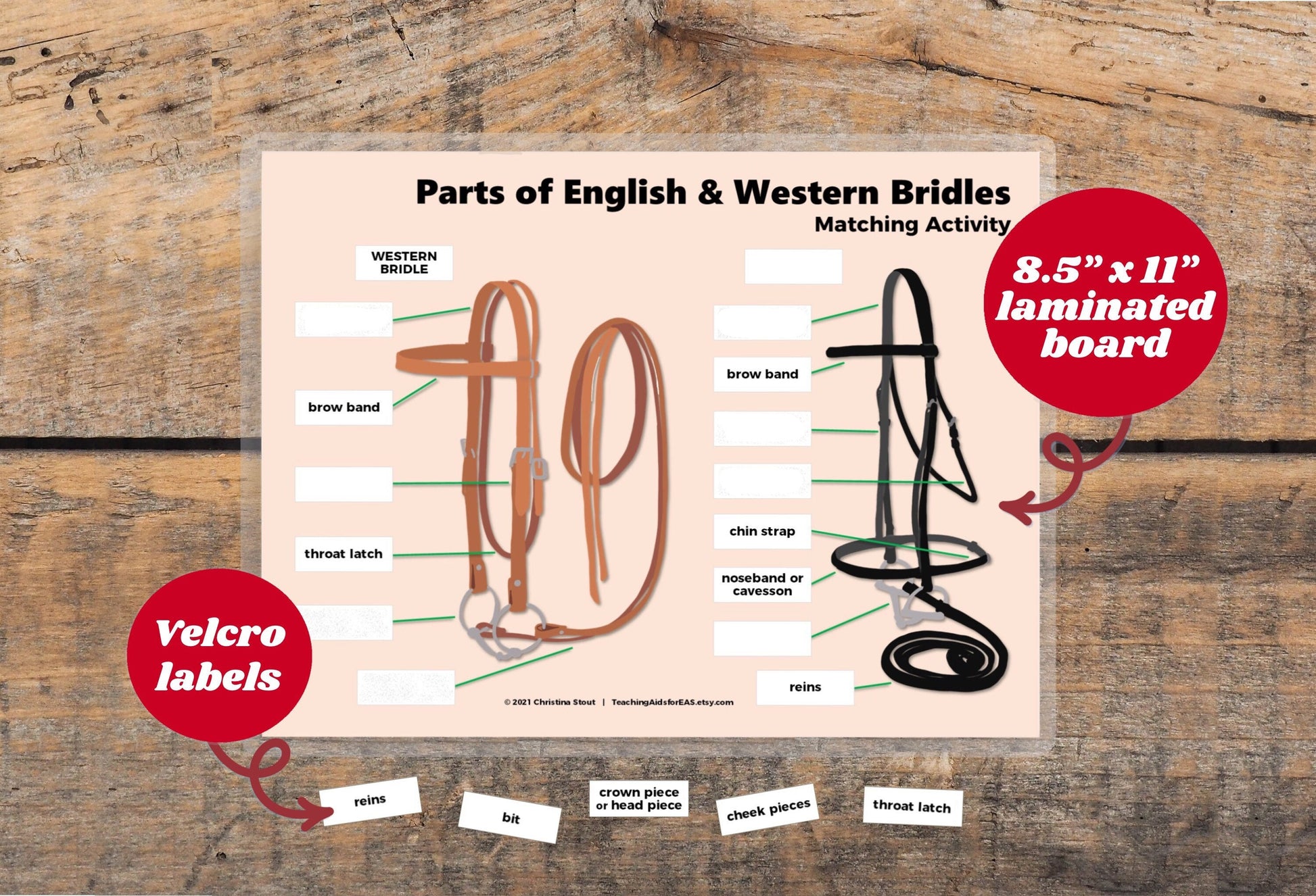 velcro board, parts of bridles - Teaching Aids for EAS