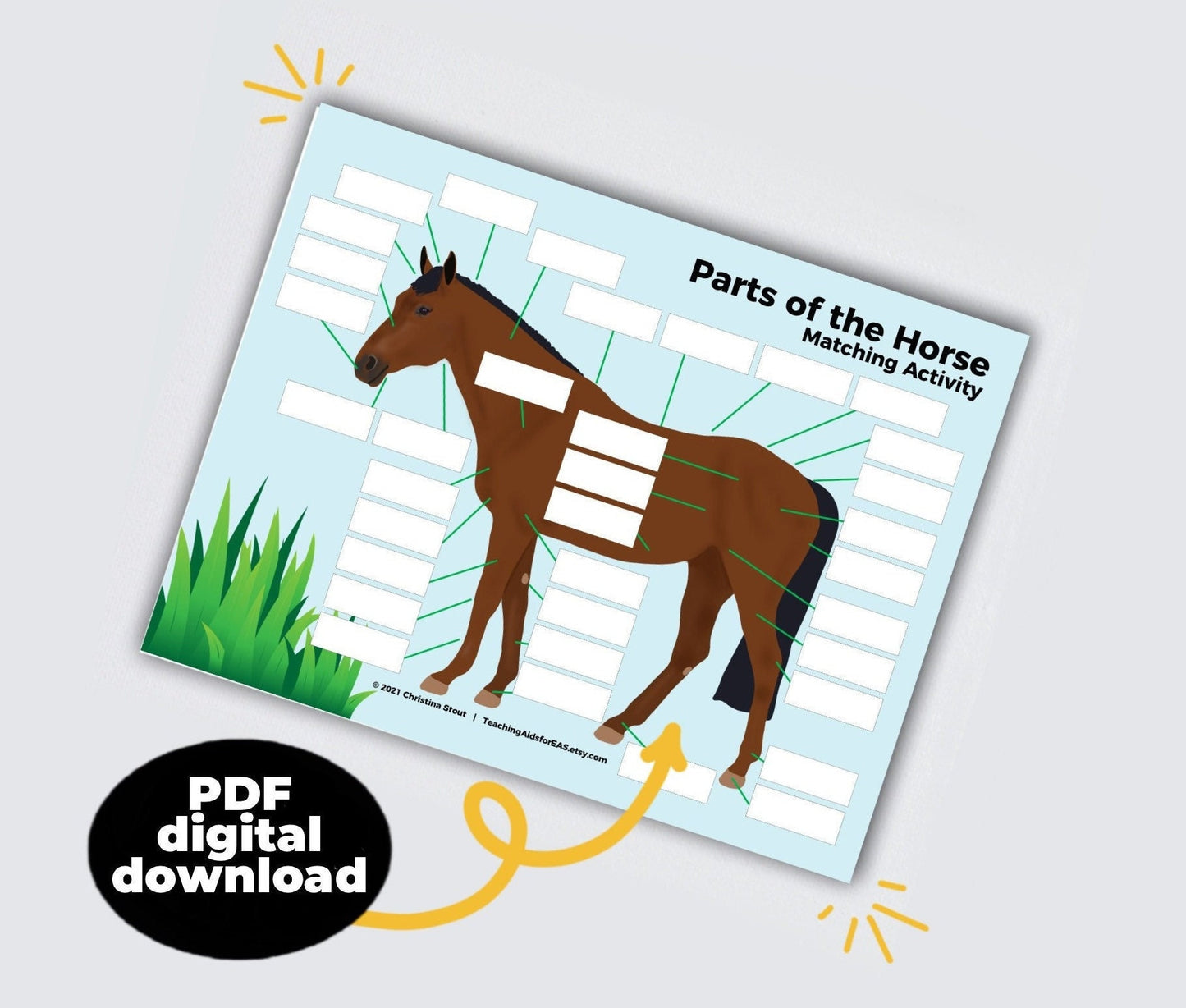 parts of the horse - PDF download - Teaching Aids for EAS