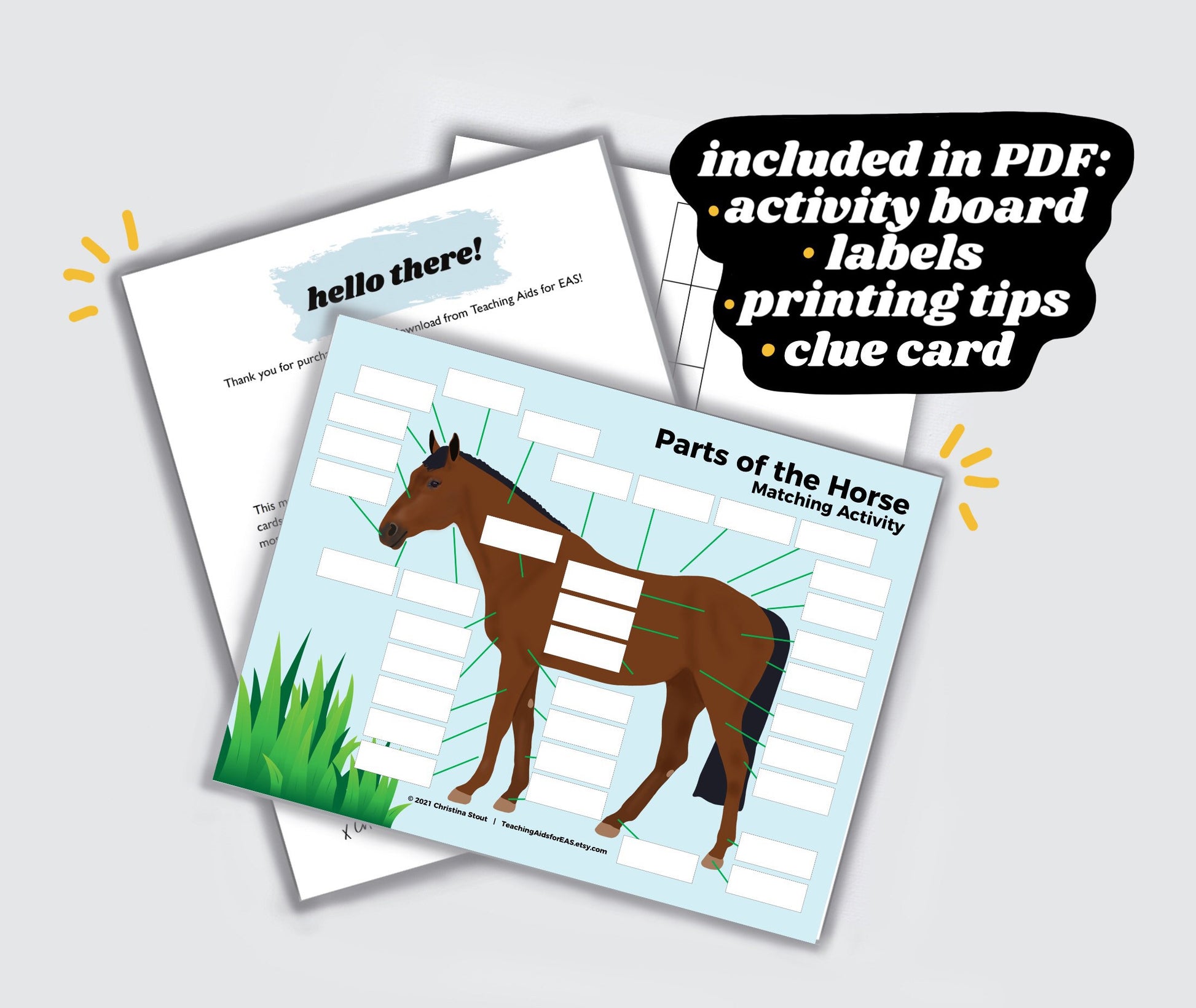 parts of the horse - PDF download - Teaching Aids for EAS