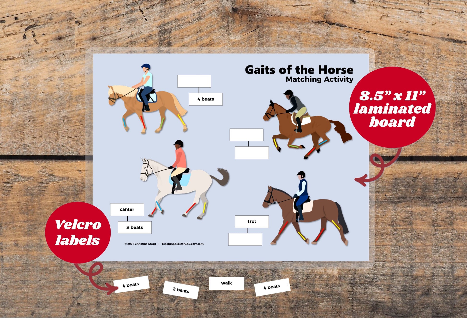 velcro board, gaits of the horse - Teaching Aids for EAS