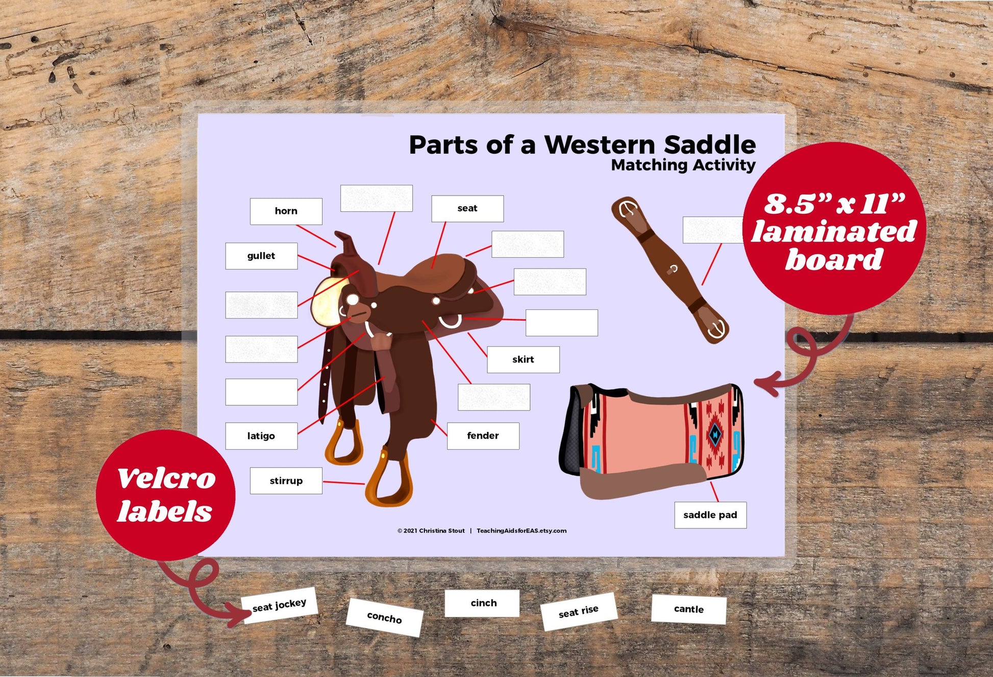 velcro board, parts of saddle western - Teaching Aids for EAS