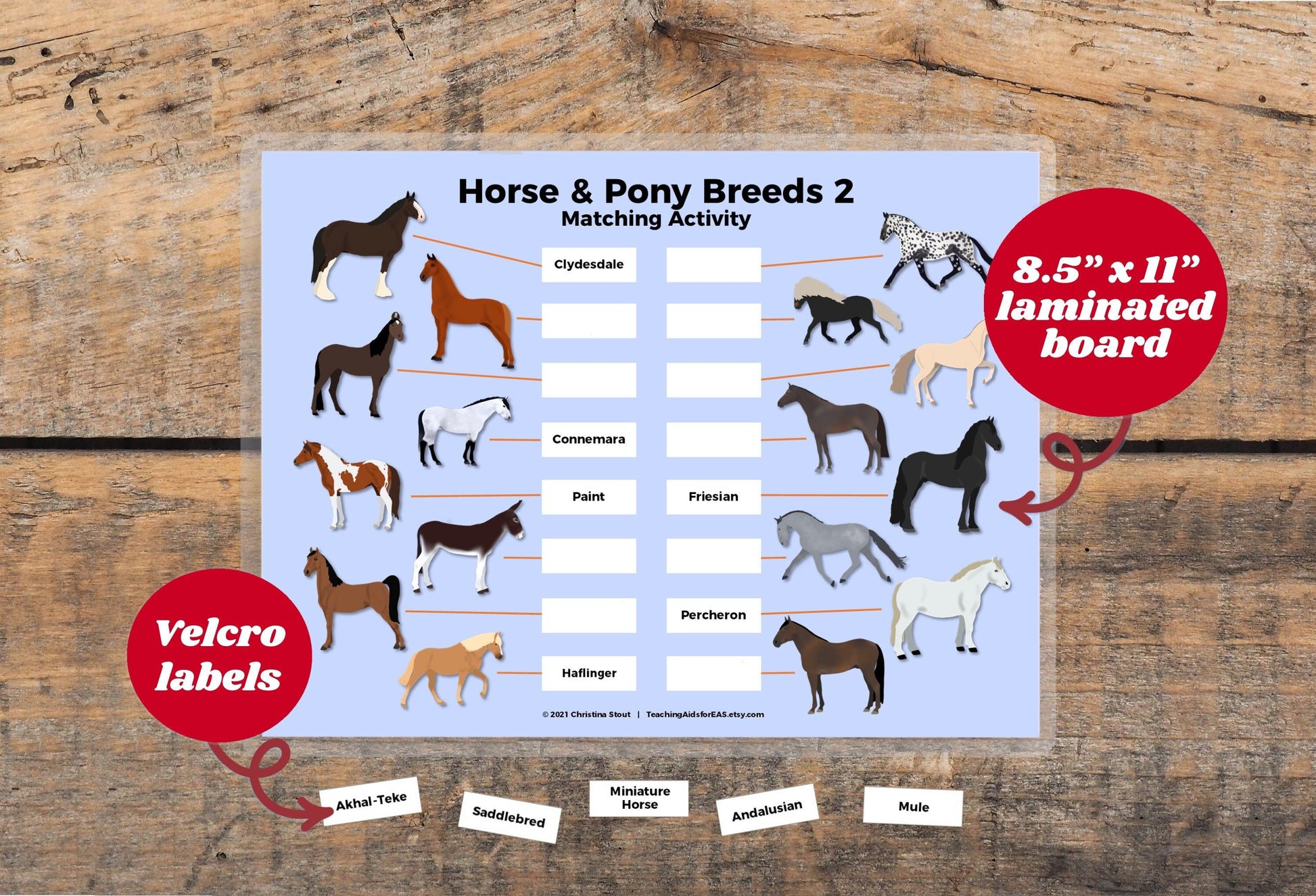 velcro board, horse breeds 2 - Teaching Aids for EAS