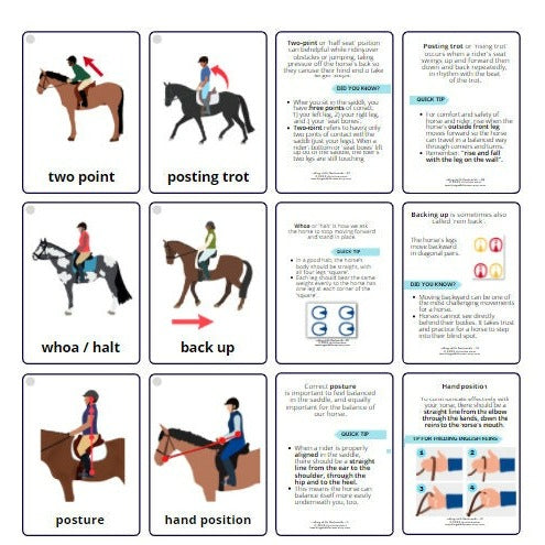 riding skills flashcards - Teaching Aids for EAS