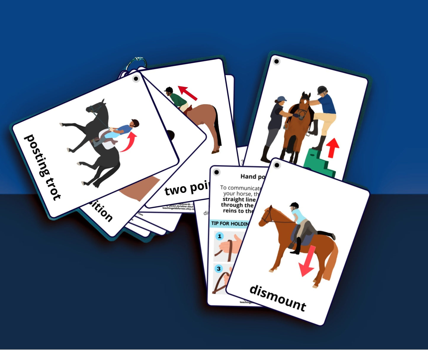 riding skills flashcards - Teaching Aids for EAS