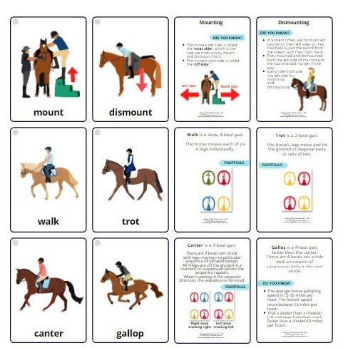 riding skills flashcards - Teaching Aids for EAS